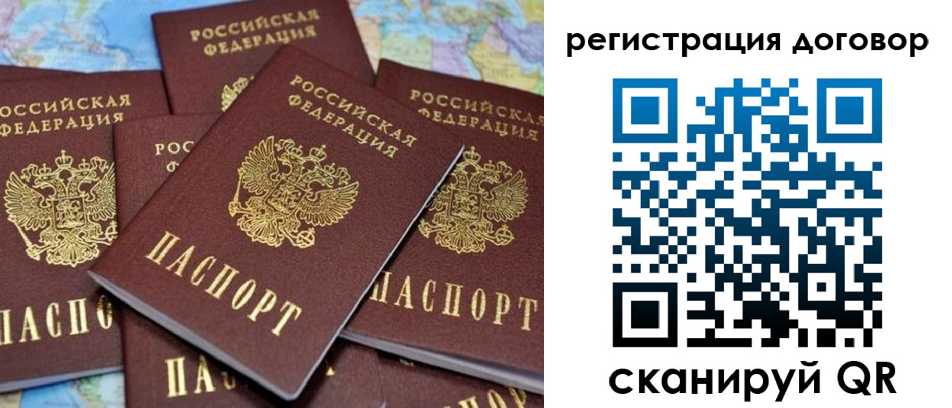 прописка гарантия в Фокино
